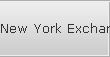 New York Exchange Server Data Recovery